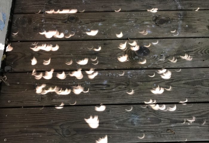 THREE LITTLE KITTENS BLOG | Great American Eclipse