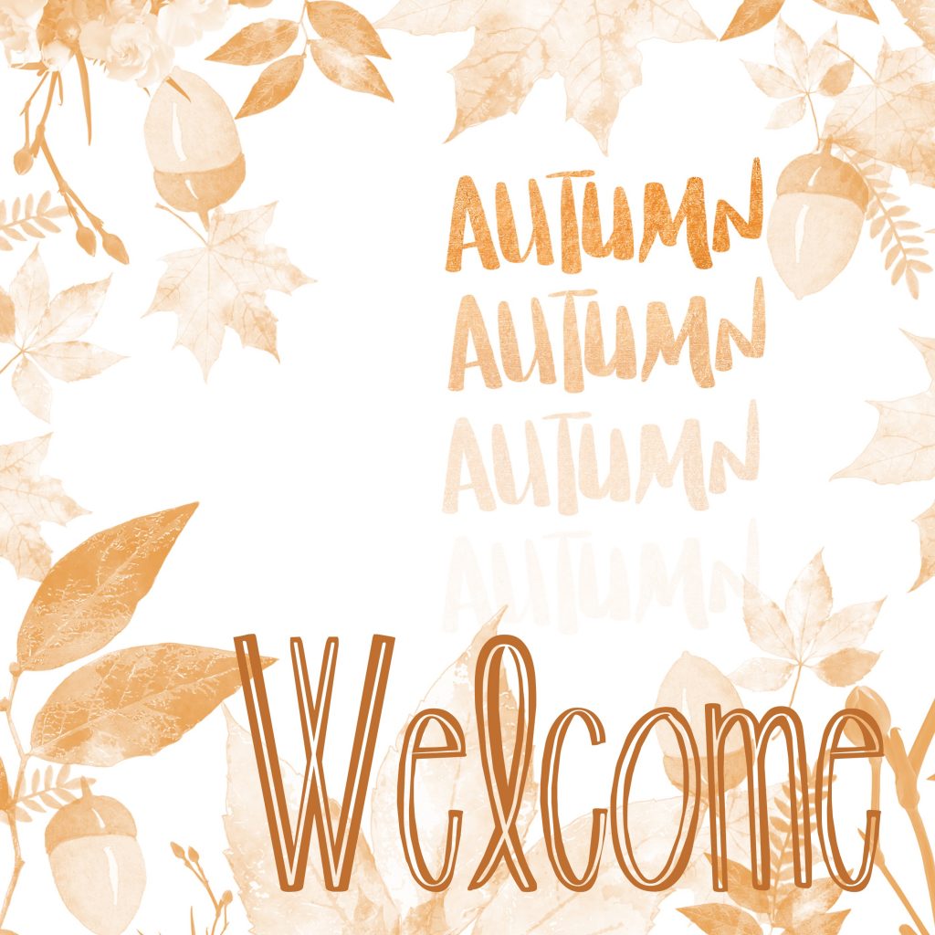 THREE LITTLE KITTENS BLOG | Welcome Autumn