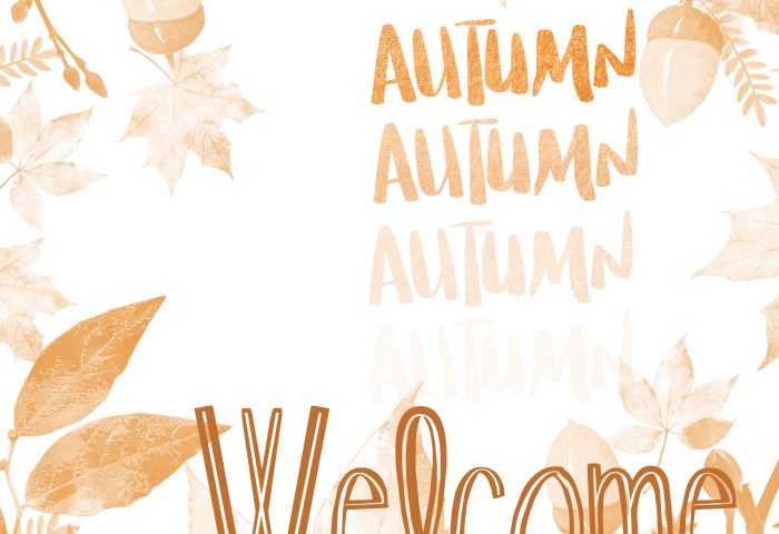 THREE LITTLE KITTENS BLOG | Welcome Autumn