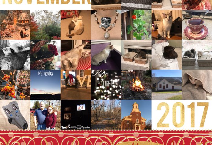 THREE LITTLE KITTENS BLOG | Project Life 365 | November 2017