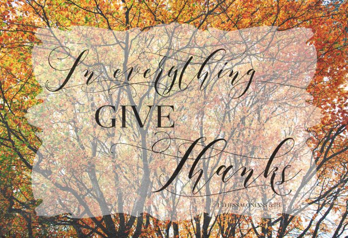 THREE LITTLE KITTENS BLOG | In everything give thanks. 1 Thessalonians 5:18 | Happy Thanksgiving!