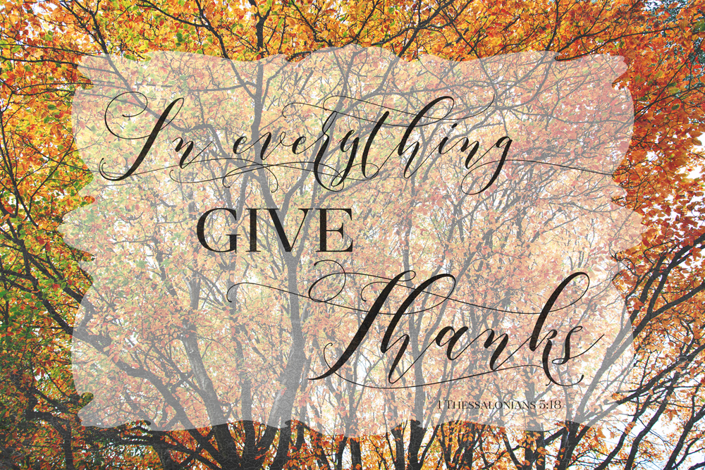 THREE LITTLE KITTENS BLOG | In everything give thanks.  1 Thessalonians 5:18 | Happy Thanksgiving!