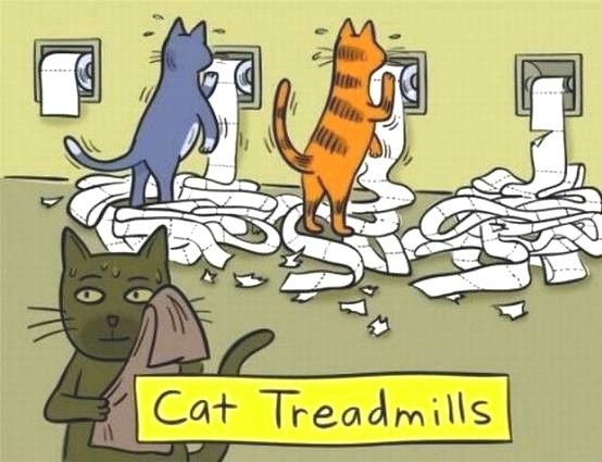 Cat Treadmills - From Humor Me on Pinterest