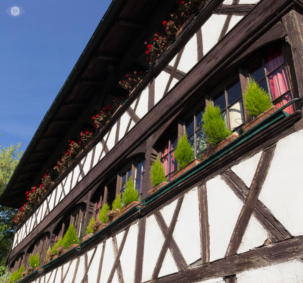 THREE LITTLE KITTENS BLOG | Masion des Tanneurs Window Boxes | Strasbourg, France