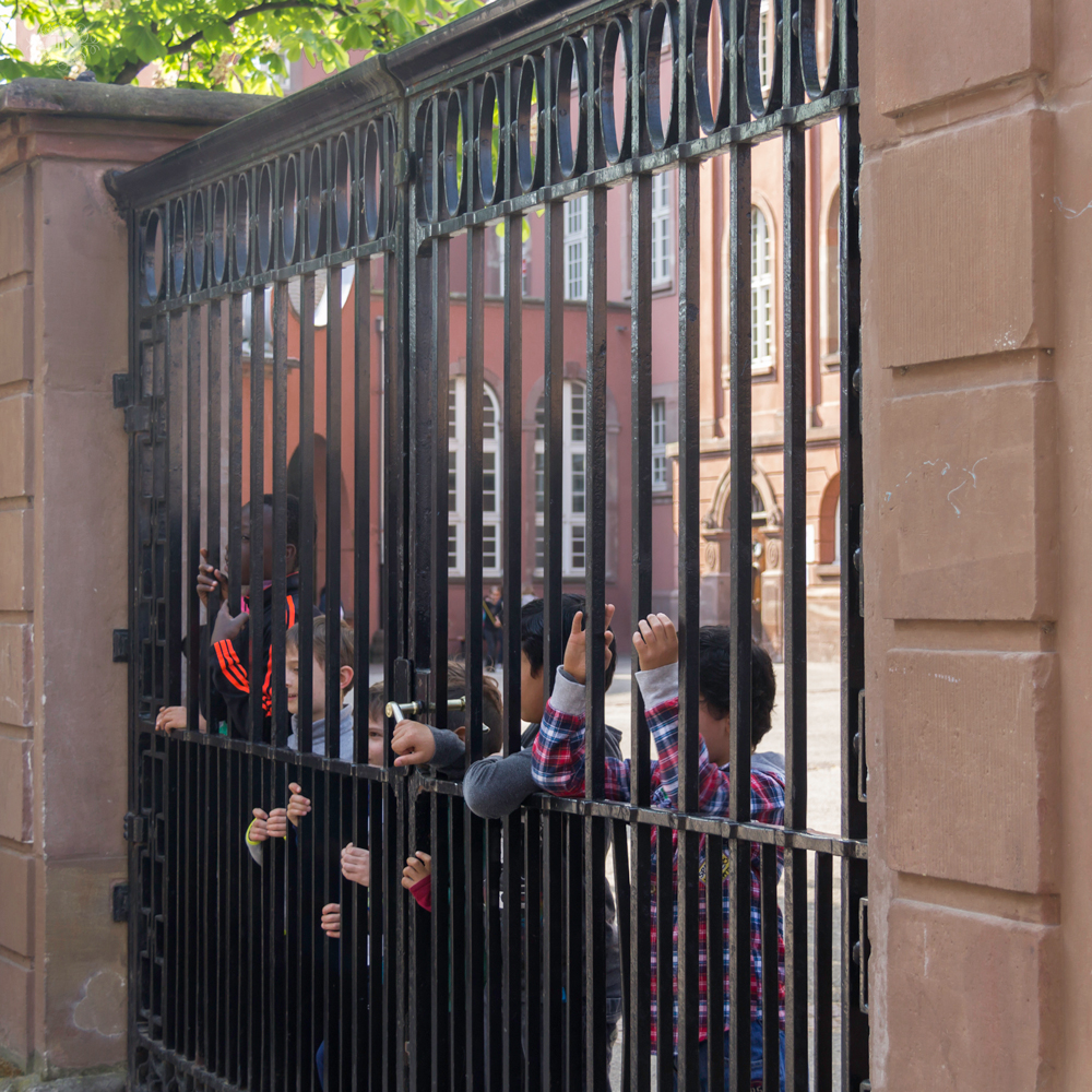 THREE LITTLE KITTENS BLOG | Strasbourg, France | Schoolboys at Saint Thomas Church