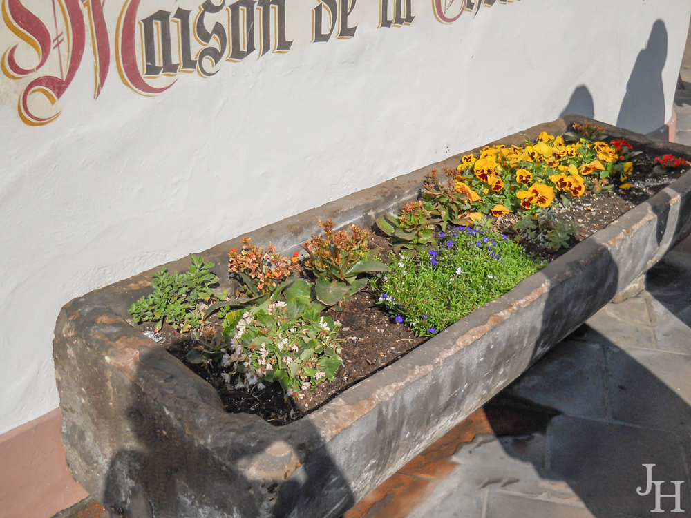 THREE LITTLE KITTENS BLOG | Maison des Tanneurs Flower Trough | Strasbourg, France