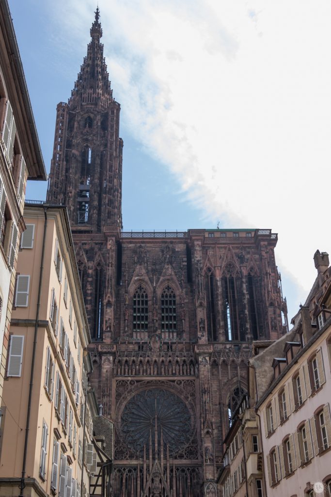 THREE LITTLE KITTENS BLOG | View of the Cathedral from Place Gutenberg