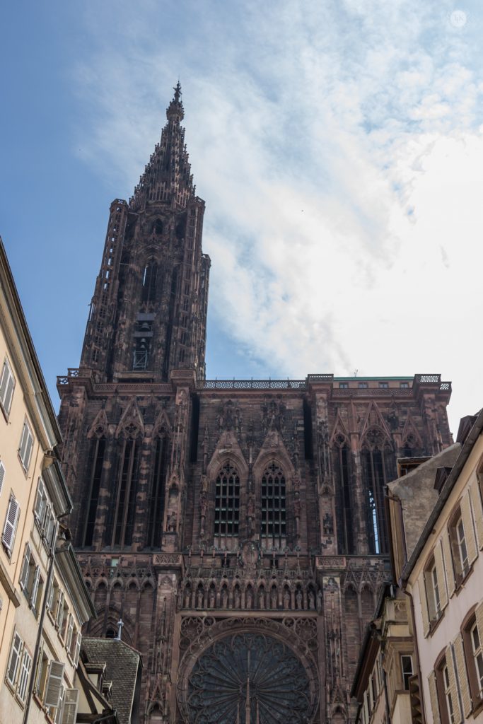 THREE LITTLE KITTENS BLOG | View of the Cathedral from Place Gutenberg