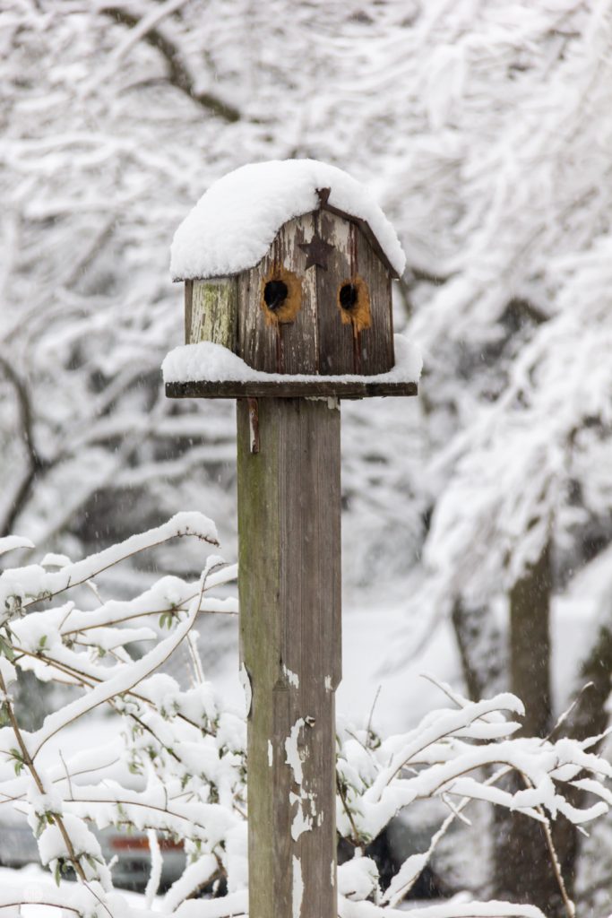 THREE LITTLE KITTENS BLOG | Birdhouse