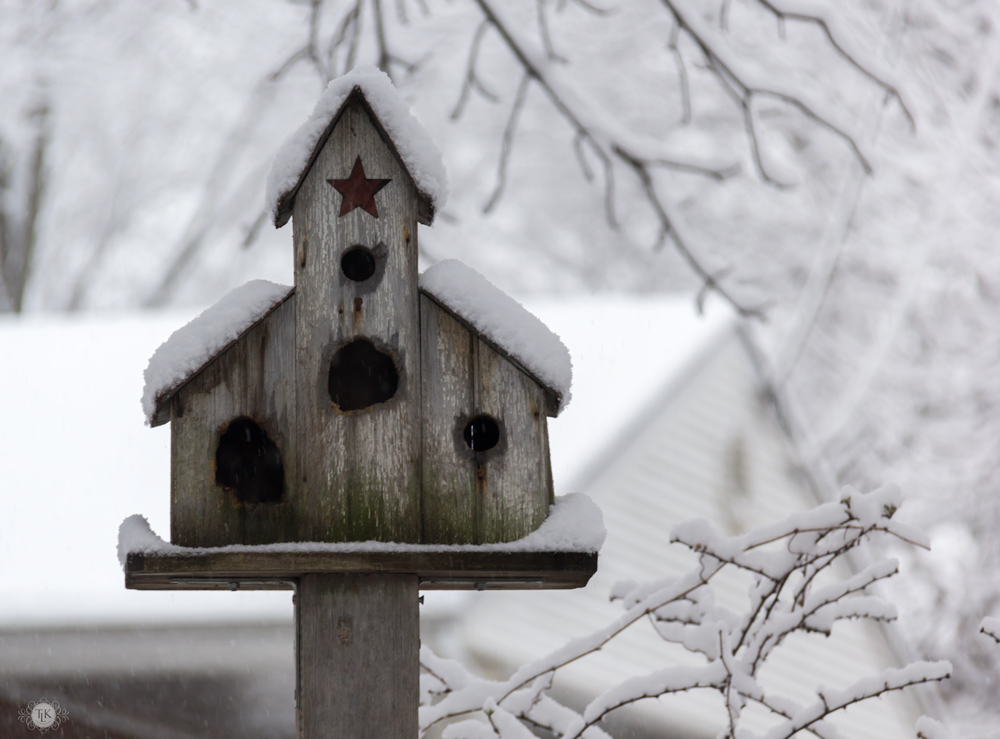 THREE LITTLE KITTENS BLOG | Birdhouse