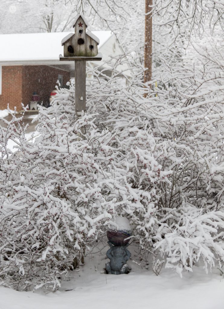 THREE LITTLE KITTENS BLOG | Snowy Scene