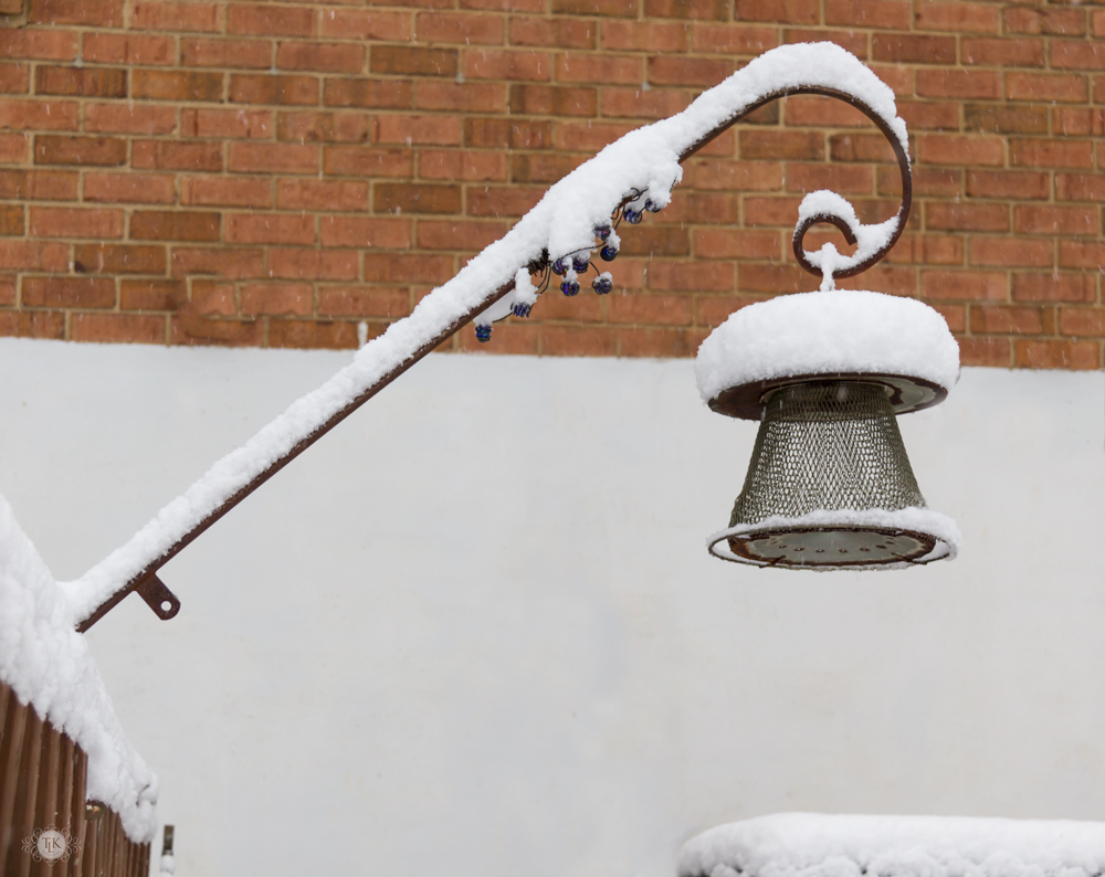 THREE LITTLE KITTENS BLOG | Bird-Feeder