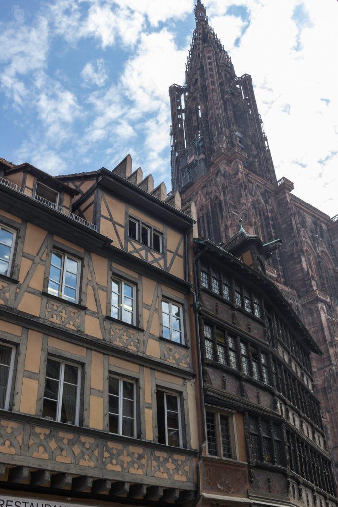 THREE LITTLE KITTENS BLOG | Maison Kammerzell and Our Lady of Strasbourg