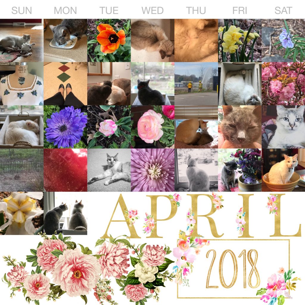 THREE LITTLE KITTENS BLOG | Project Life 365 | April 2018