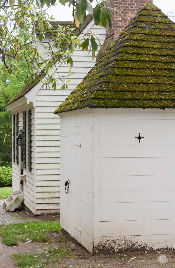 THREE LITTLE KITTENS BLOG | Moss Covered Roof