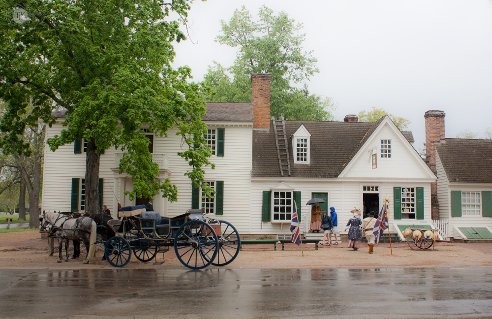 THREE LITTLE KITTENS BLOG | Rainy Day on Duke of Gloucester