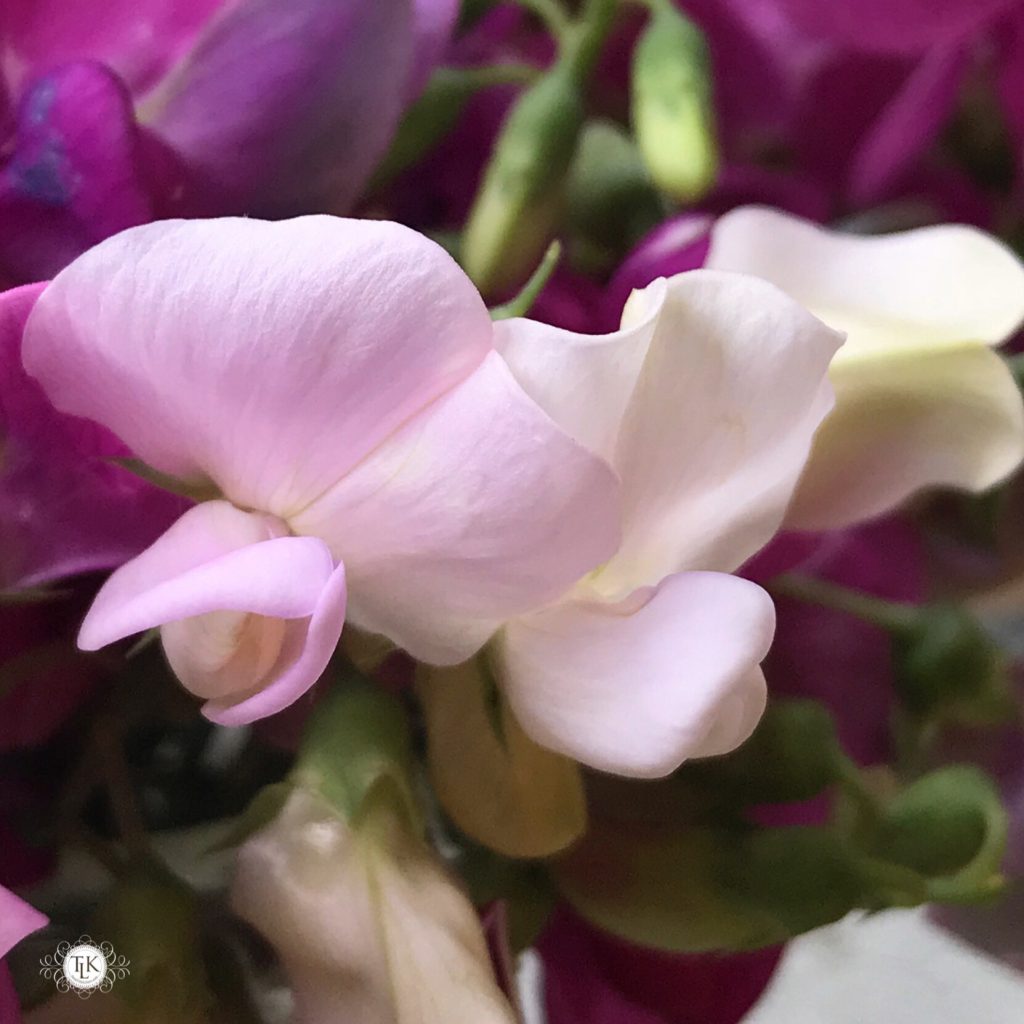 THREE LITTLE KITTENS BLOG | Sunday Bliss | Sweet Peas