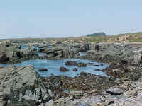 p112.08.08.03.jpg (83024 bytes)