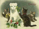 Three Kittens & Snow Dog